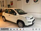 Fiat Panda Hybrid Pandina - Fiat Panda in Dresden