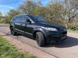 Audi Q7 3.0 TDI 7. Sitzer Standheizung Keyless Care