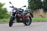 Benelli BN - Angebote