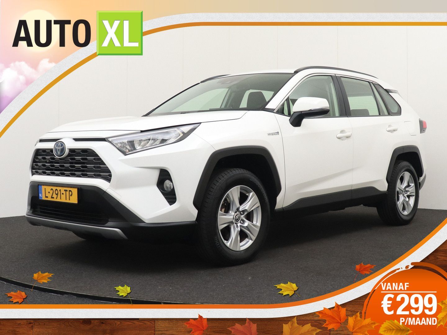 Toyota RAV 4 2.5 Hybrid Active Adapt. Cruise Carplay Ca