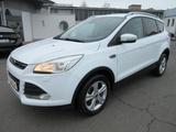 Ford Kuga Sync Edition **incl. GARANTIE** - Ford Kuga: Sync Edition