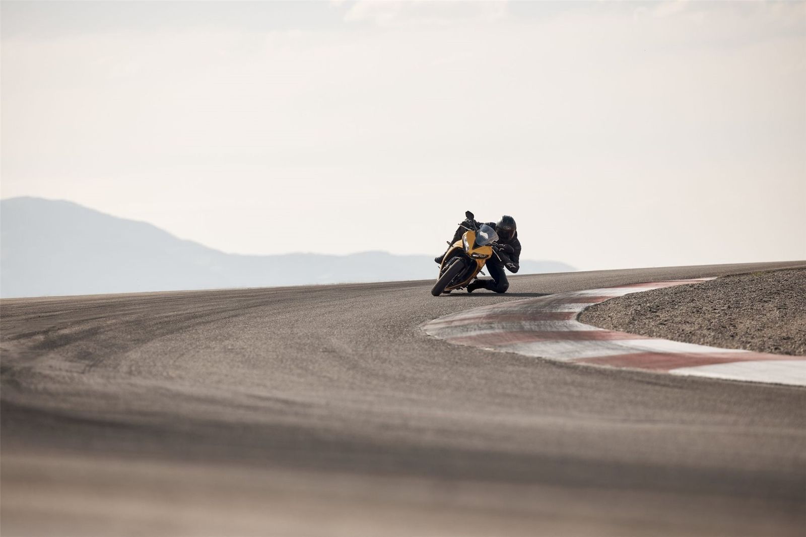 Fahrzeugabbildung Triumph Daytona 660