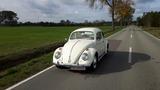 Volkswagen Käfer 1200 mit Winker und Blinker original - Volkswagen Käfer mit Benzin-Antrieb: Kleinwagen
