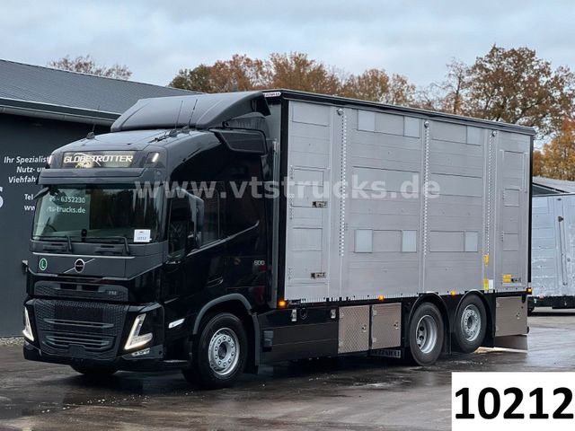 Volvo FM 500 6x2 2.Stock Pezzaioli Viehtransport *NEU*