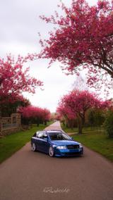 Skoda Octavia Rs Airlift auch Tausch - Skoda Octavia aus 2007: RS