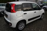 Fiat Panda Easy Klima/Allwetterreifen/nur 19.639 Km - Fiat Panda Gebrauchtwagen in Berlin