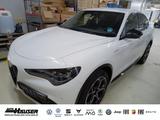 Alfa Romeo Stelvio Veloce 2.0 Turbo Q4 EL. HECKKL. HARMAN-K - gebrauchte Alfa Romeo Stelvio aus dem Jahr 2024
