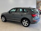 Audi Q5 2.0 TDI Quattro S-Line|1-HAND|AHK|XENON|TOTW| - Audi Q5 Gebrauchtwagen in Hamburg