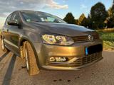 Volkswagen Polo 1.2 TSI DSG 66kW Comfortline Comfortline - Volkswagen Polo: 1.6