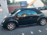 Volkswagen VW Beetle Cabrio - Volkswagen Beetle aus 2003: Cabrio