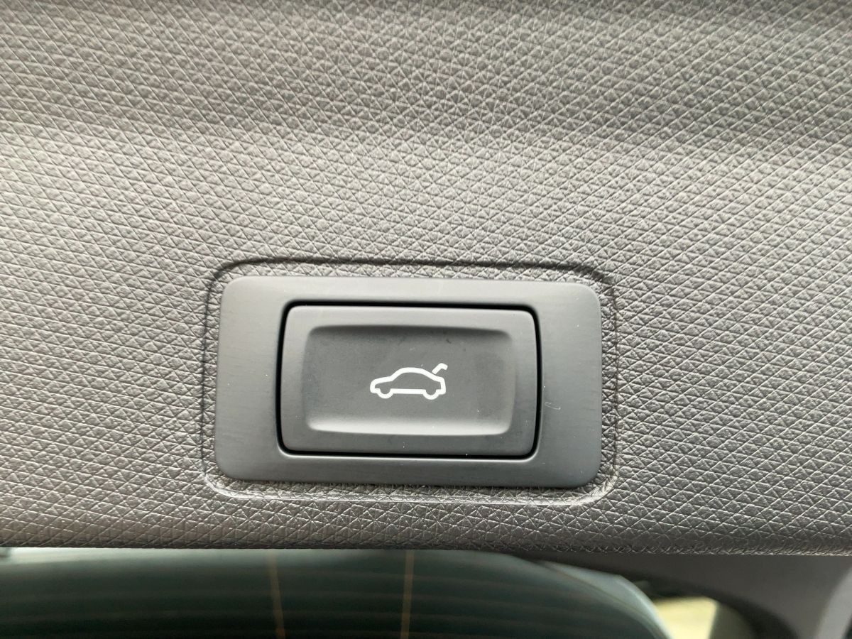 Cupra Terramar - Bild 15