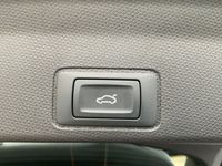 Cupra Terramar - Vorschau Bild 15
