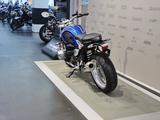 BMW R nineT Pure /5 Sondermodell 50 Jahre/5 - BMW R NINET PURE