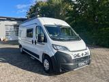 Benimar Benivan B161 - Angebote