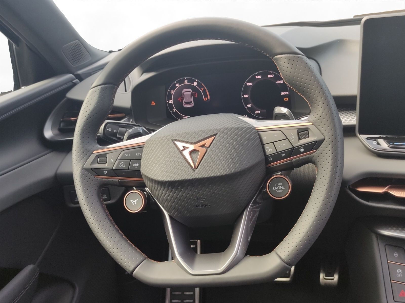 Cupra Terramar - Bild 11