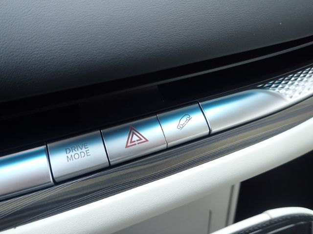 Fahrzeugabbildung DFSK Forthing 9 HEV Bestellfzg Panodach Leder Memory