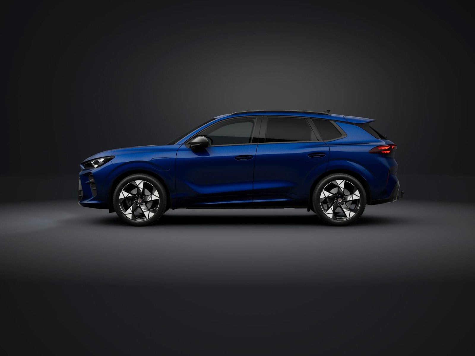 Cupra Terramar - Bild 2