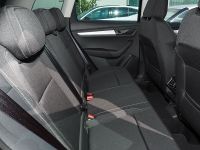 Skoda Karoq - Vorschau Bild 9