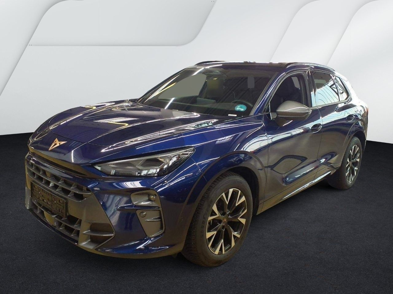 Cupra Terramar - Bild 3