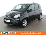 Fiat Panda 1.2 More *PDC*ALU*KLIMA*GARANTIE* - Fiat Panda Gebrauchtwagen