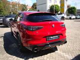 Alfa Romeo Stelvio Veloce Q4 2.0 Turbo AT/LED/Navi/Shz/Klim - Alfa Romeo: Schiebedach