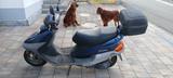 Yamaha Motorroller XC-125 T Cygnus 4NB - YAMAHA ROLLER 125 CYGNUS