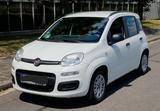 Fiat New Panda 1.2 8V MY PANDA MY PANDA - weiße Fiat New Panda