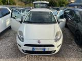 Fiat Punto 1.3 MJT CV SPORT MOTORE NUOVO CON FAT - Fiat Punto: Sport