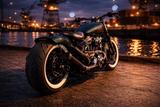 Harley-Davidson Softail Evo Springer Custom - Offers
