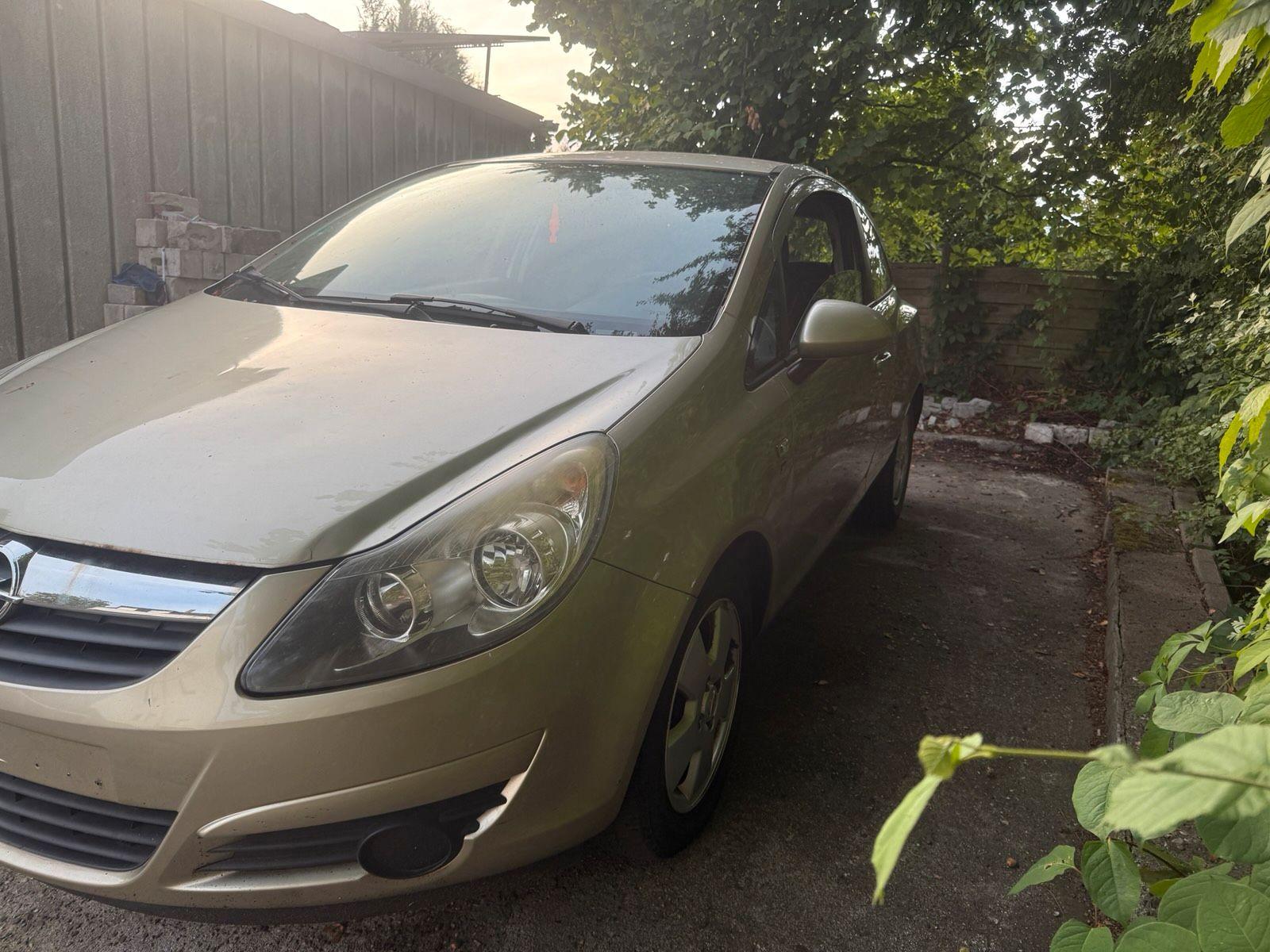 Opel Corsa 2010 — rear view