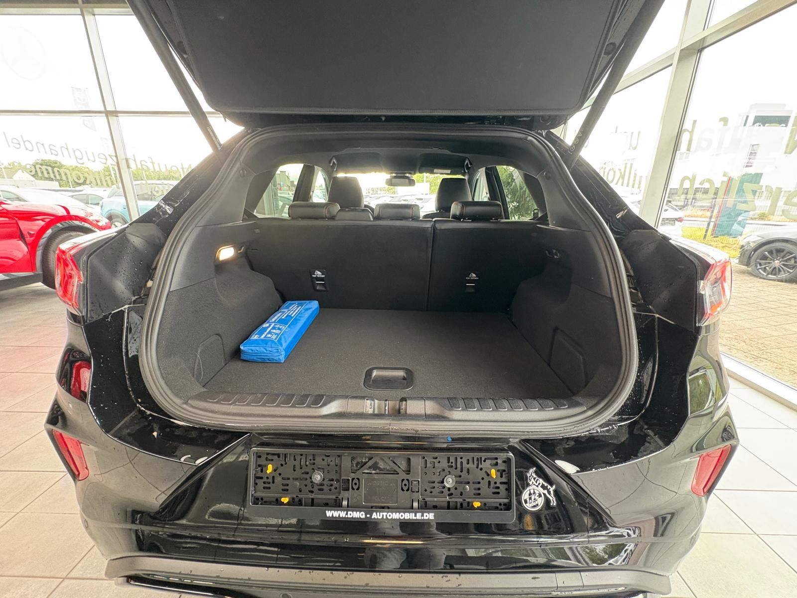 Fahrzeugabbildung Ford Puma Hybrid ST-Line X/Erst 27000 km