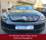 Volkswagen Beetle 2.0 TDI Allstar BlueMotion 1.Hd Vollauss. - Volkswagen Beetle: TDI