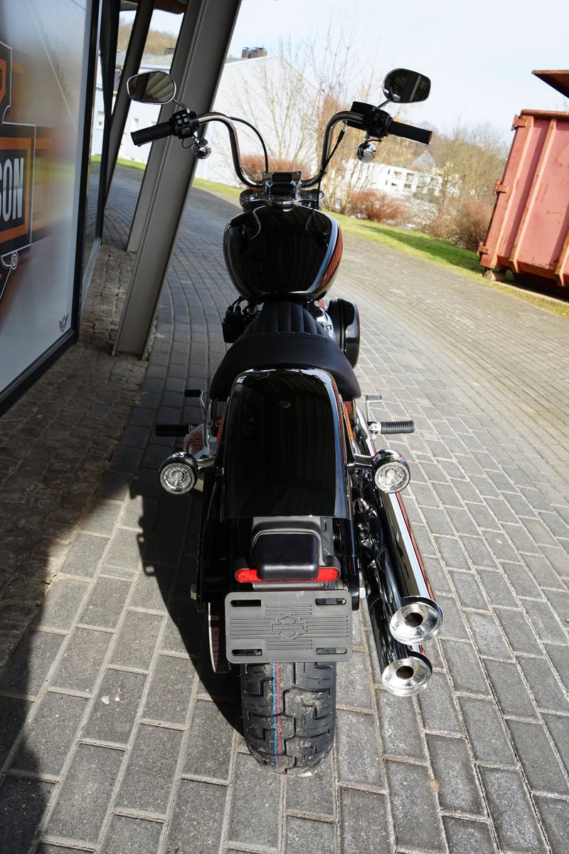 Fahrzeugabbildung Harley-Davidson Softail Standard 2024 mit TZ