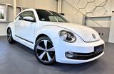 Volkswagen Beetle Lim. Design BMT Käfer Cup|NAVI|SITZHEIZUN - gebrauchte VW Beetle aus dem Jahr 2015