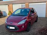 Ford Ka aus 2015 in funky magenta  - Ford Ka/Ka+ in Mönchengladbach