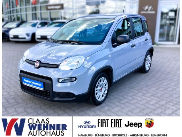 Image of Fiat Panda