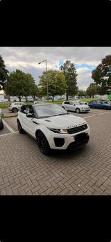 Andere Range Rover Evoge - Andere in Köln