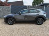 Mazda CX-30 2.0 48V ACC 360 Totwinkel Keyless SHZ - Mazda Gebrauchtwagen in Aachen