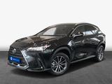Lexus NX 450h Executive Line Alle Extras Modeljahr 26 - Lexus NX 450h mit Panoramadach
