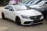 Mercedes-Benz CLS 63 AMG/Driver's+Carbon+Perform/Glasd/Harman - aus 2011: Cl AMG