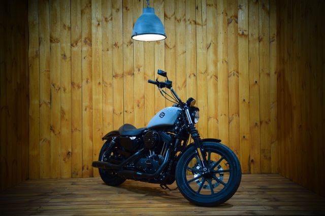 Harley-Davidson occasion, Chopper/Custom occasion