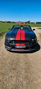 Ford Mustang 2.3 EcoBoost Auto - - Ford Mustang in München