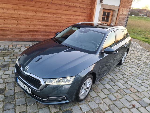 Skoda Octavia Style Navi Pano SHZ v+h Kamera ACC