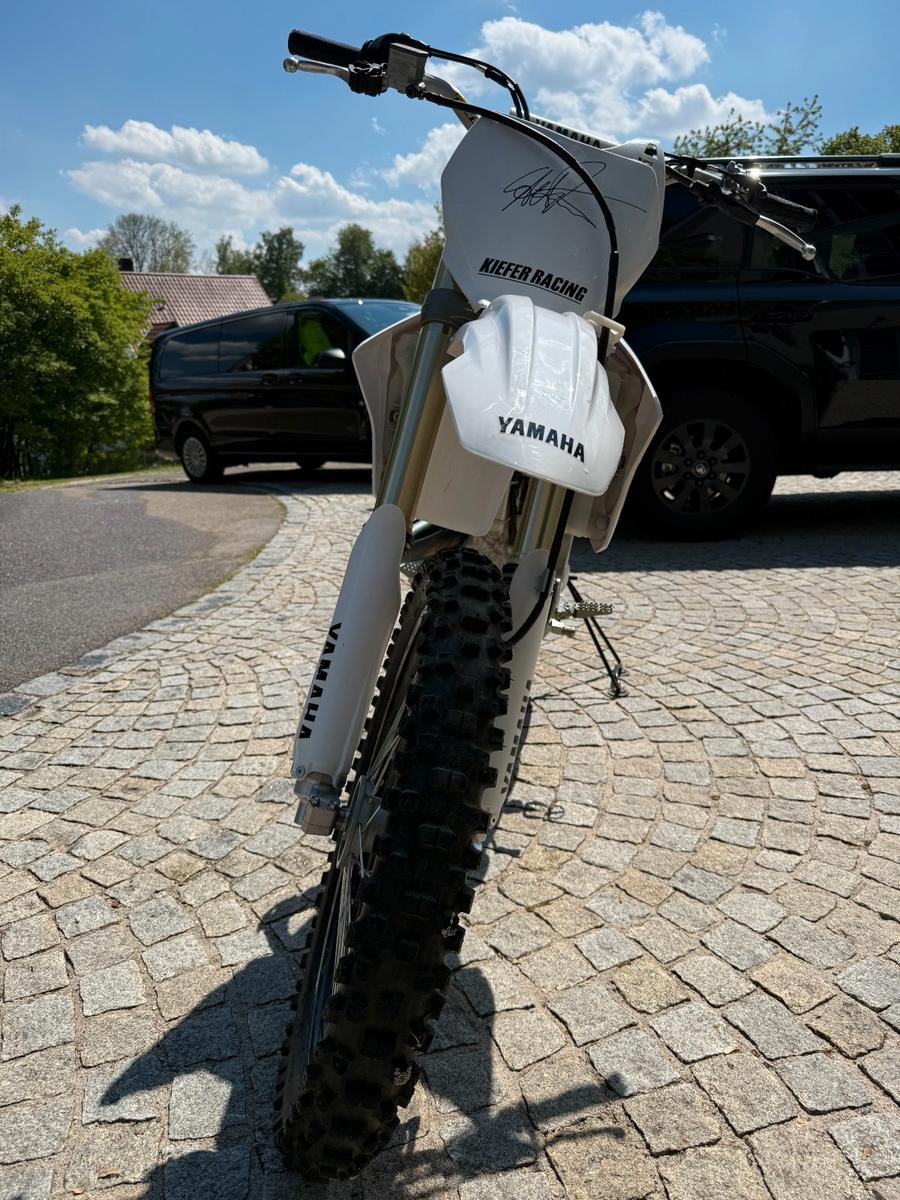 Yamaha  2009 — rear view