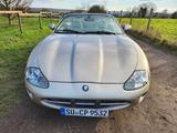 Jaguar XK8 Cabriolet - - Jaguar XK8 aus 2000