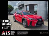 Lexus UX 300h F Sport Design ACC FLA SpurH LM - rote Lexus UX