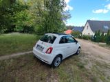 Fiat 500 1.2 8V SPORT SPORT - Fiat 500: Privatanbieter