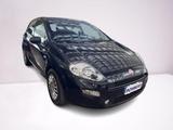 Fiat FIAT Punto 1.3 MJT II S&S 95 CV 5 porte Street - Fiat Punto: 1.3
