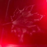 Mazda 3 Jahre Garantie MX-30 35,5KWH 105kW 1st Edition - Mazda MX-30 aus 2020