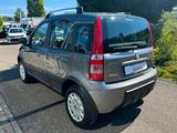 Fiat Panda 1.2 8V Classic 4X4 - Fiat Panda: 1.4